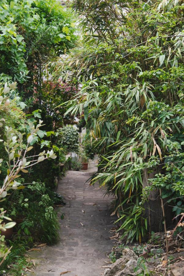 Le Grand Maulnes Bed & Breakfast Paris Luaran gambar